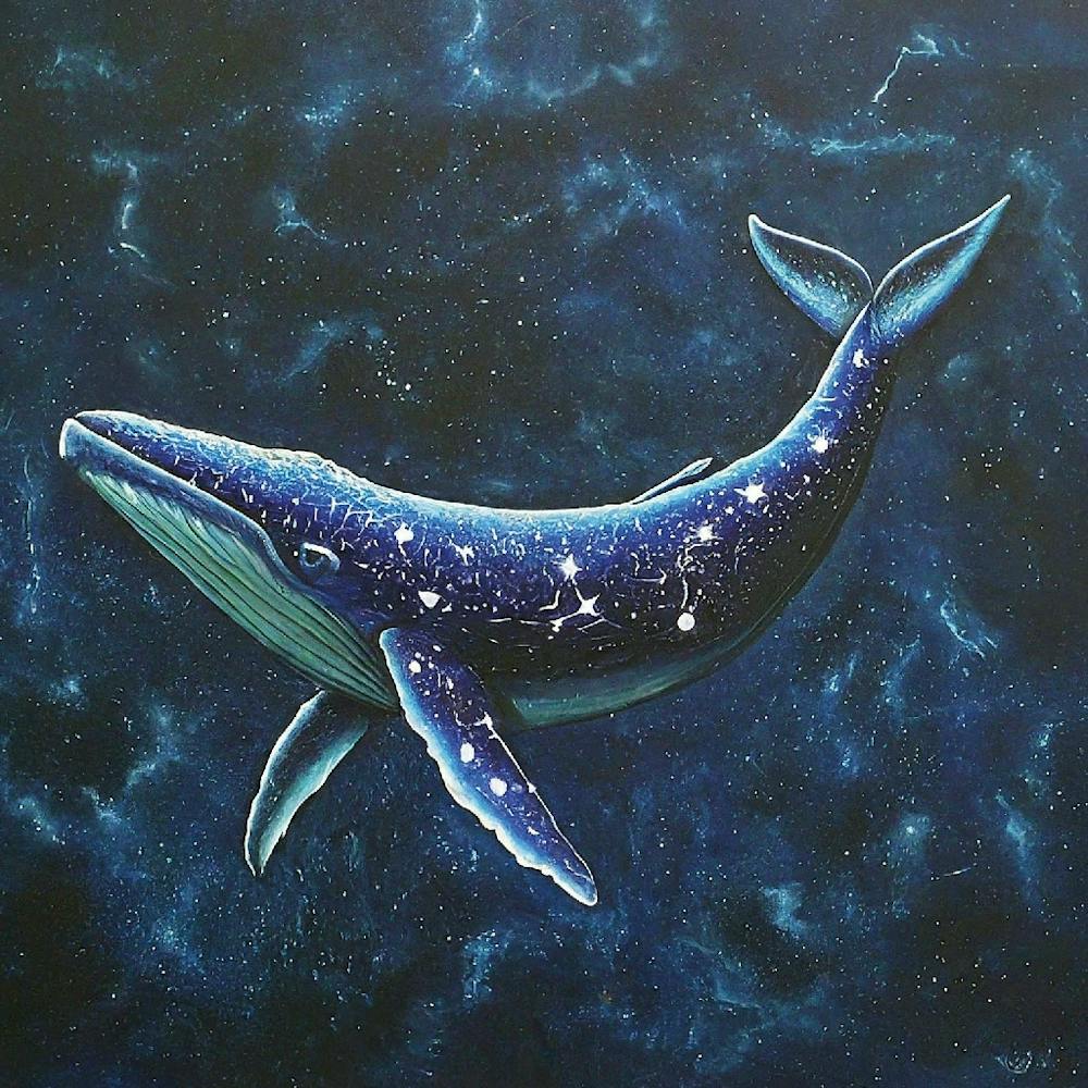 Starry Whale 01