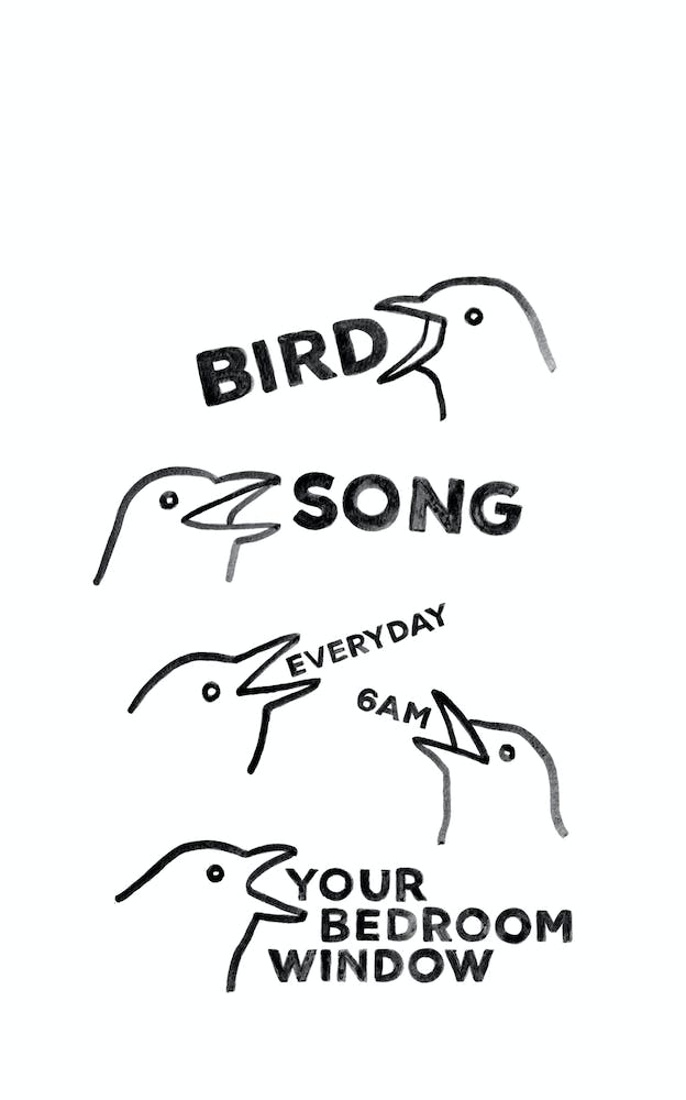 Bird Song