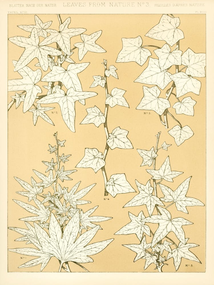 Motif Vintage, Owen Jones