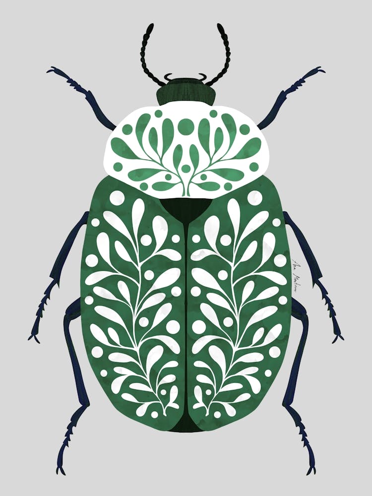 Leaves Beetle