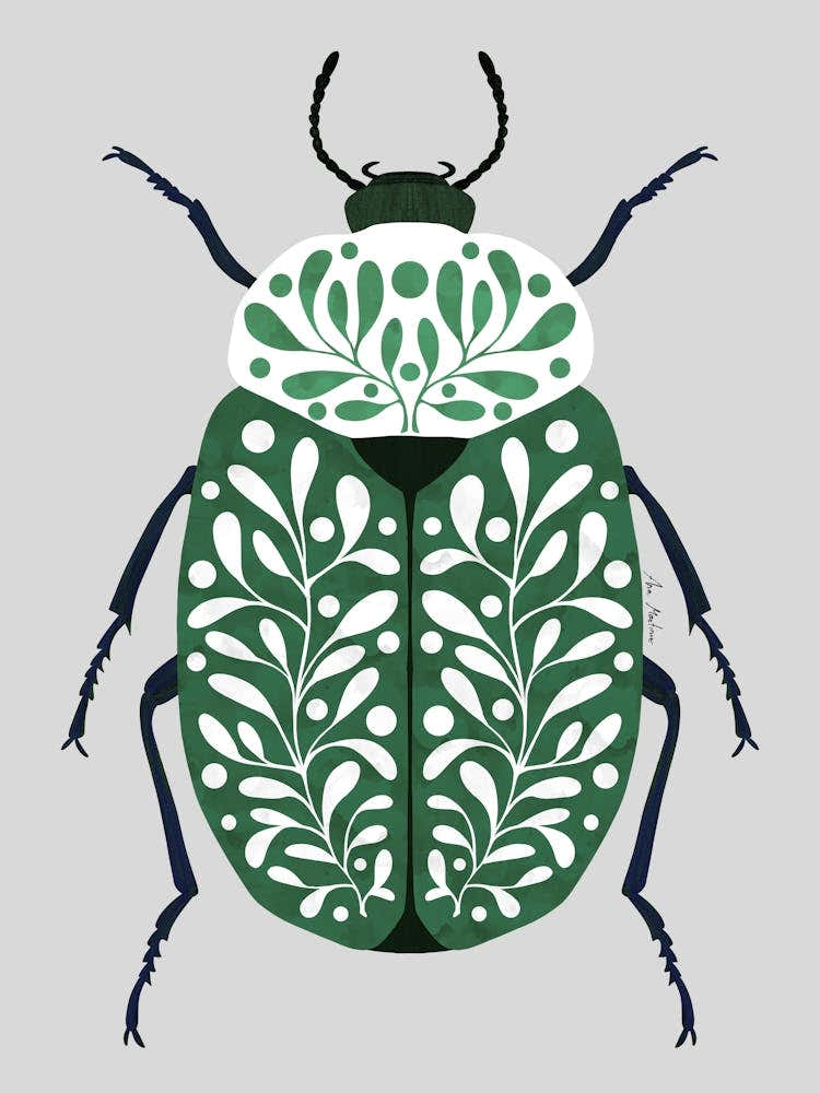 Leaves Beetle