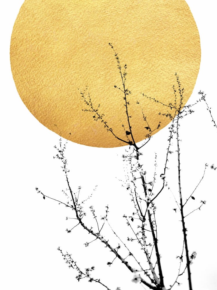 Sunshine Of My Life Office