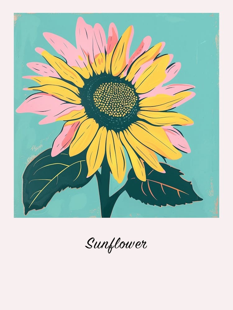 Sunflower 2 Square Flower Illustration Poster