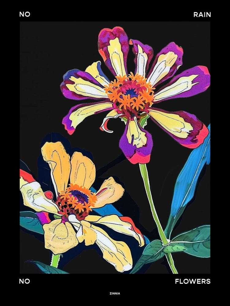No Rain No Flowers Poster Zinnia 3