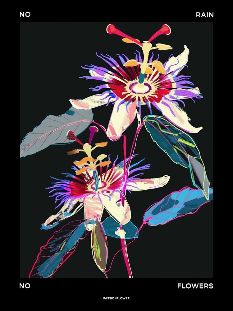 No Rain No Flowers Poster Passionflower 3