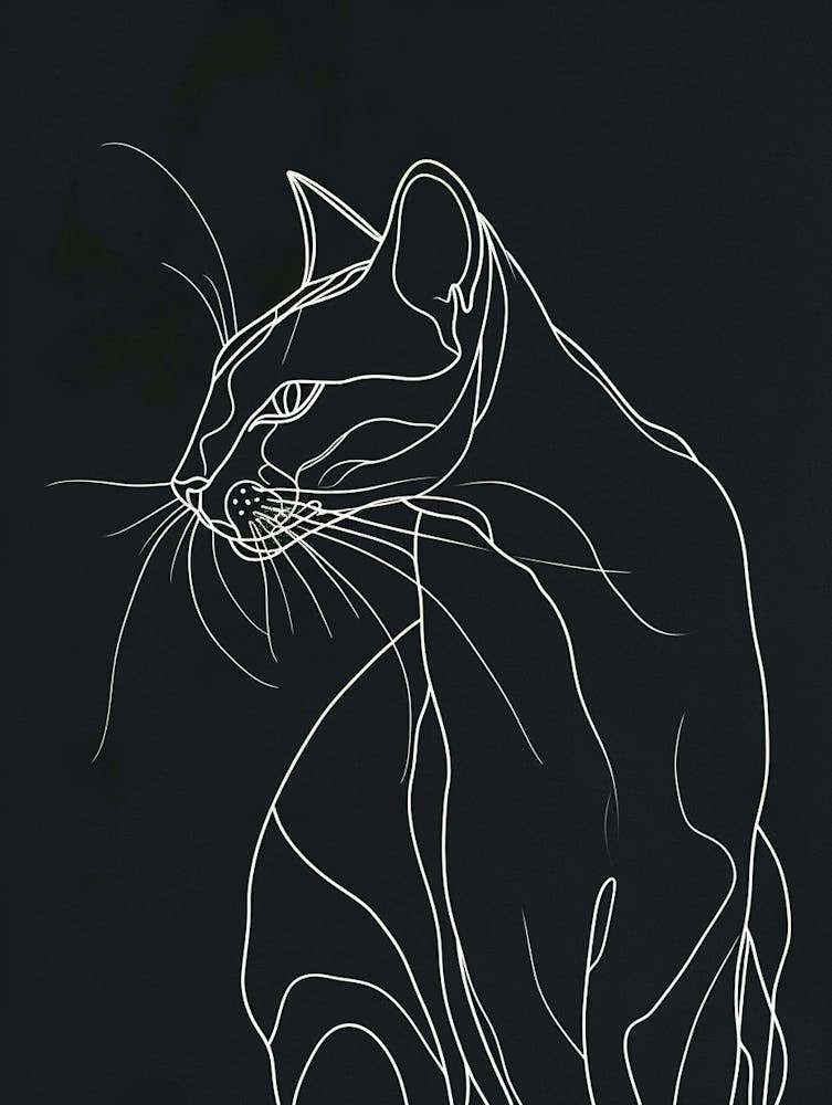 Laperm Cat Minimalist Illustration 3