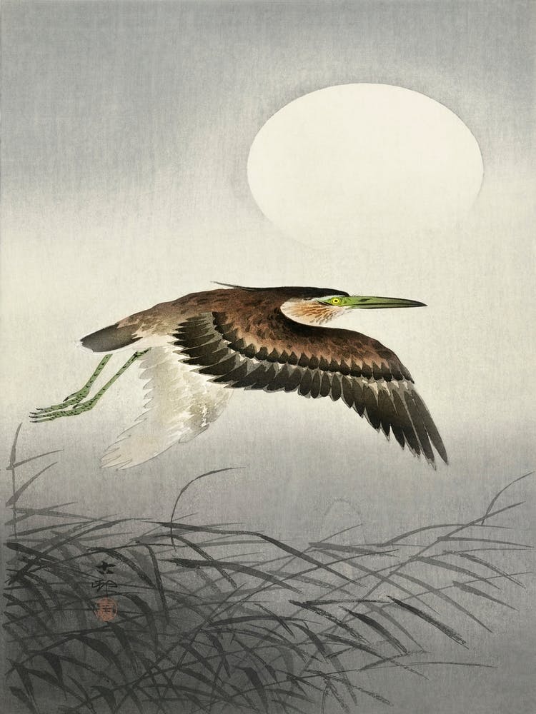 Heron At Full Moon (1900 1930), Ohara Koson
