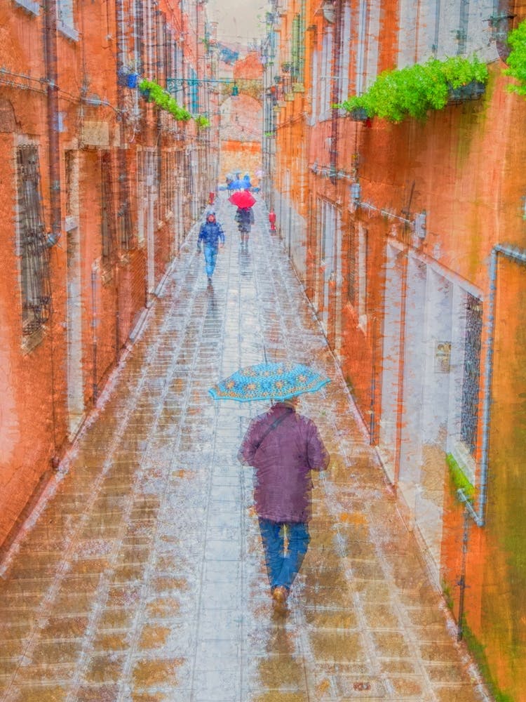 Rainy Street Scene Venice