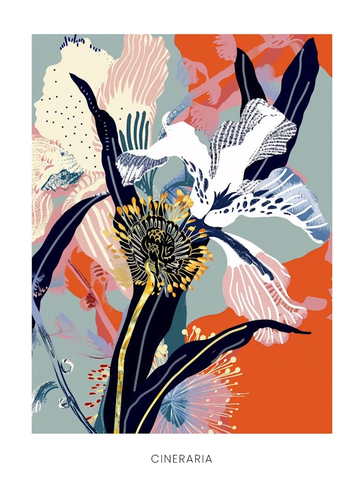 Affiche Illustration Florale Colorée Cinéraire 1