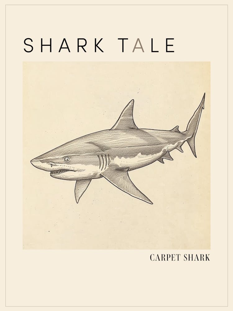Carpet Shark Vintage Illustration 4 Poster