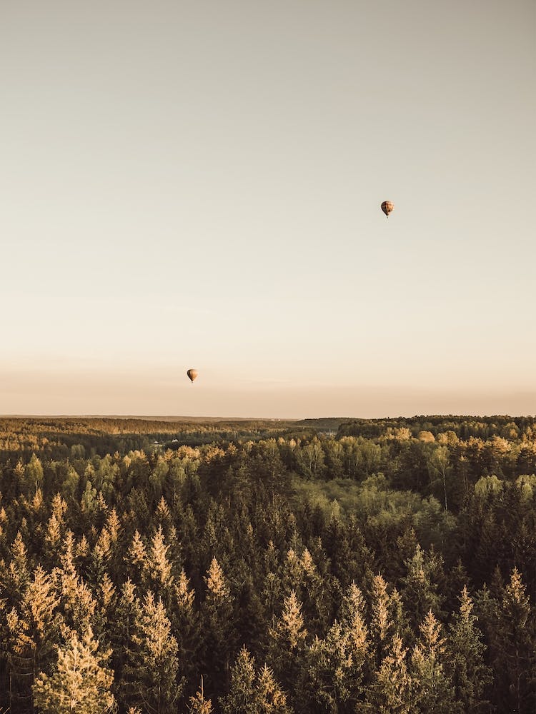 Hot Air Balloon Sunset
