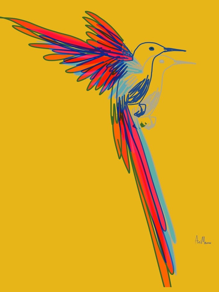 Hummingbird005