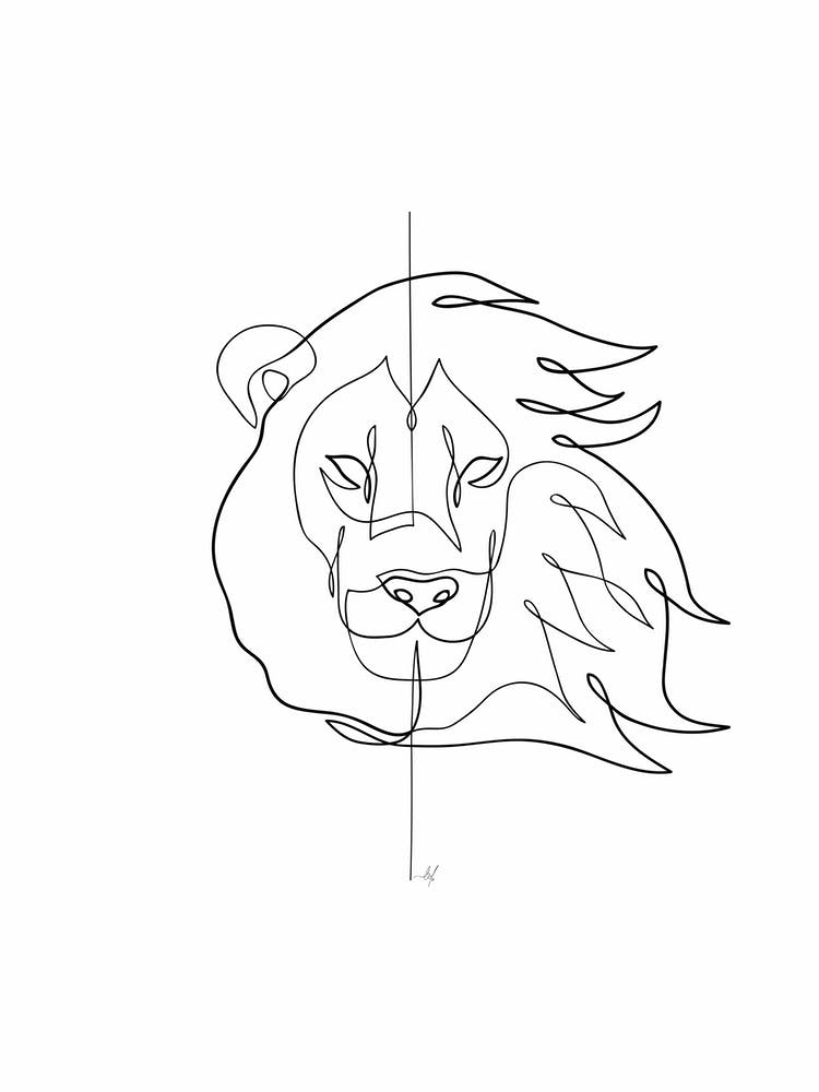 Lion 01