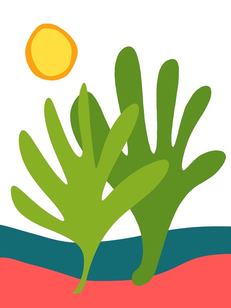 Desert Cacti