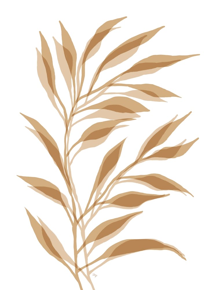 Mocha Bamboo