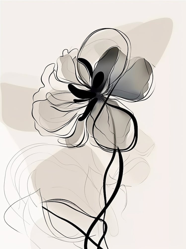 Line Art Orchids Flowers Illustration Neutral 17