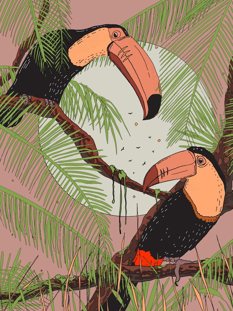 Toucans In The Jungle