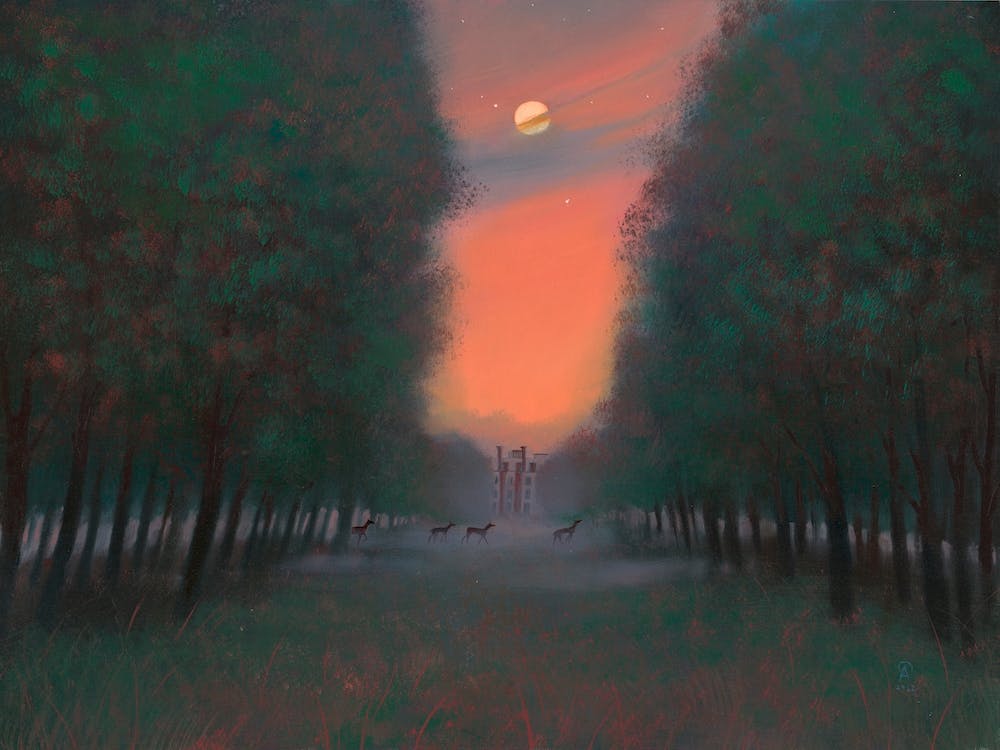 Deers At Bushy Park, London