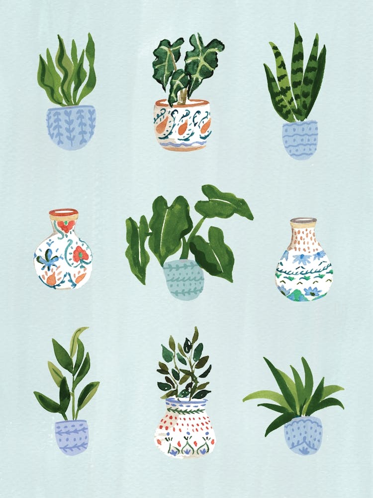 Plants
