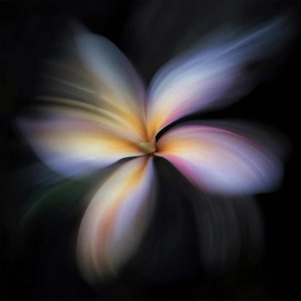 Hawaiian Flower 2