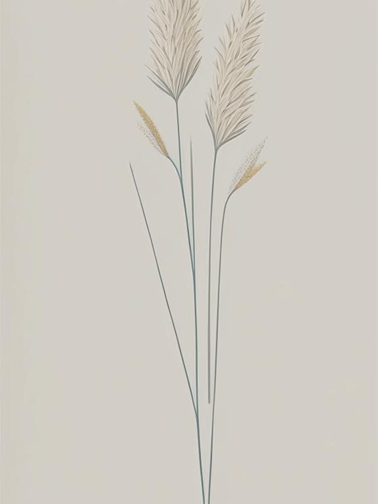 Psyllium Herb Simplicity 2