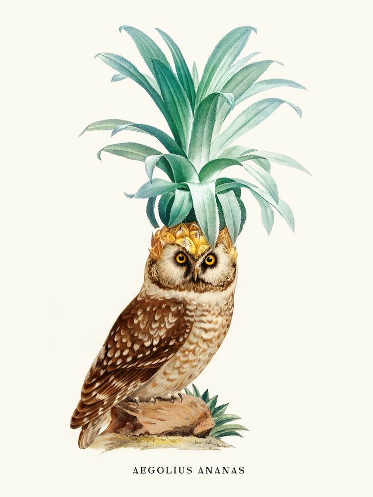 Pineapple Owl Vintage