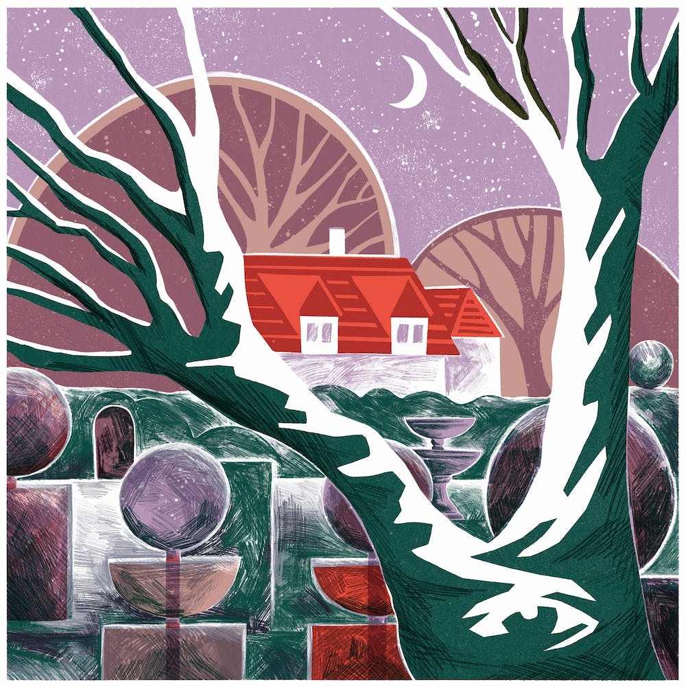 Moonlit Garden