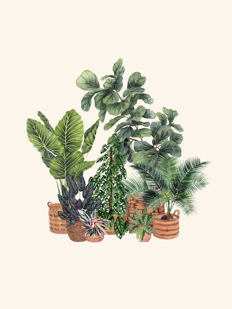 Plant Gang 9