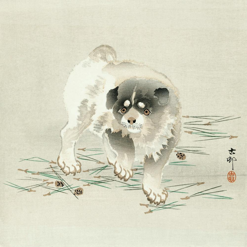 Junger Hund (1900 1930), Ohara Koson