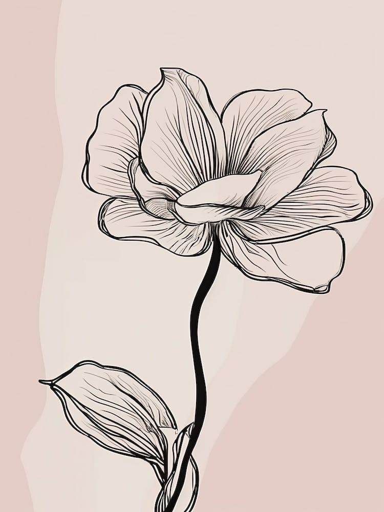 Daffodils Line Art Flowers Illustration Neutral 4