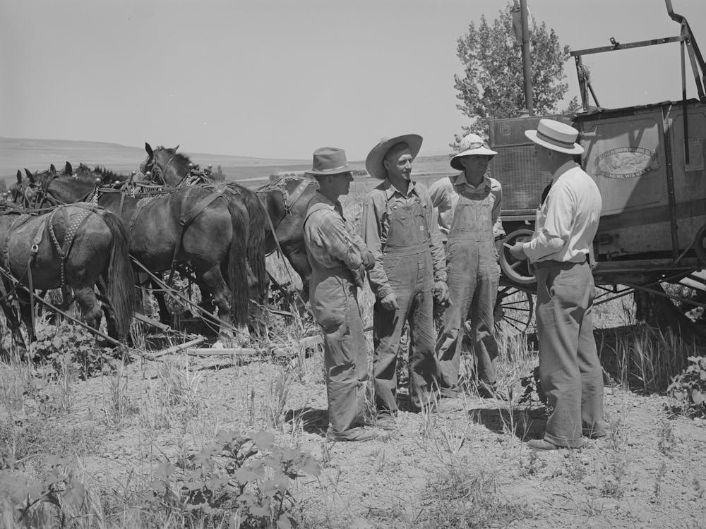 Mr Thayne, Fsa (Farm Security Administration) Cooperative Specialist, Talking To The Three Ericson Brothers