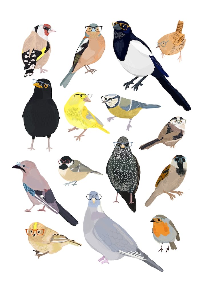 Uk Birds