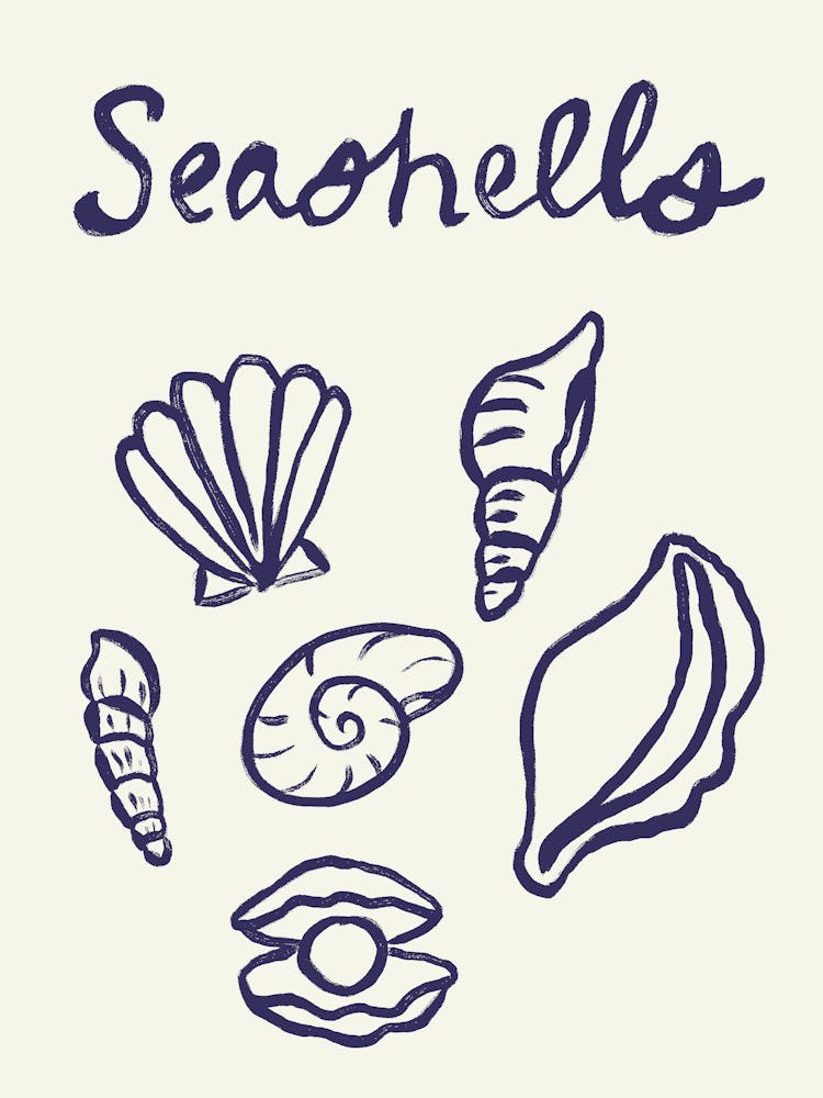 Seashell Doodles, Seashell Line Art, Minimalism Seashell Design 11