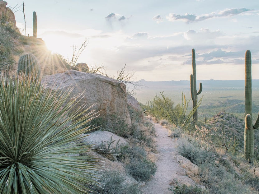 Desert Hiking Trail