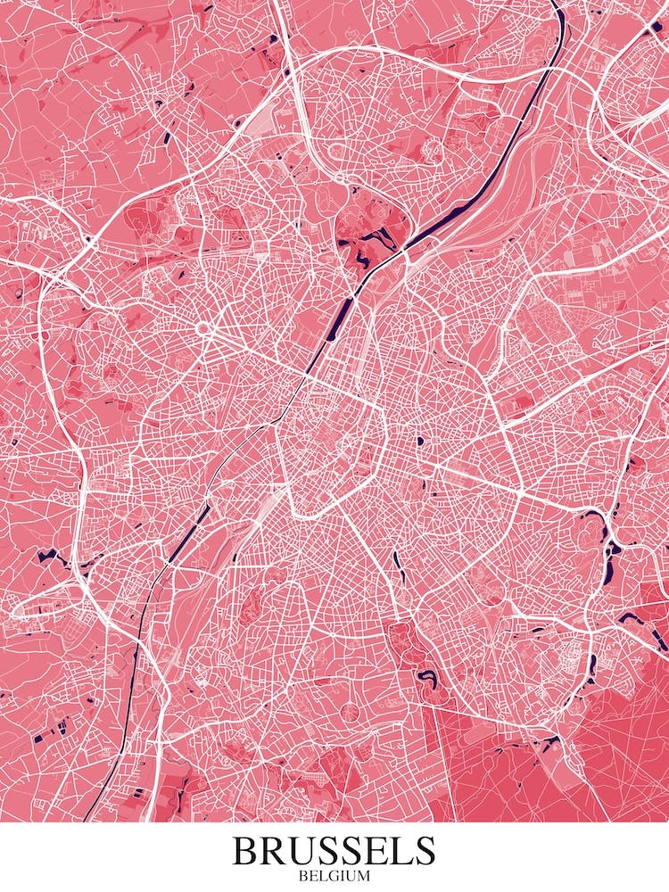 Brussels Pink Purple