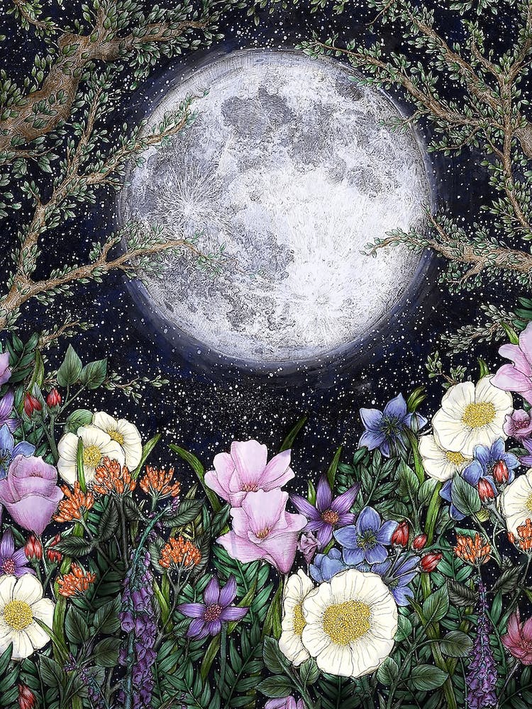 Midnight in the Garden II