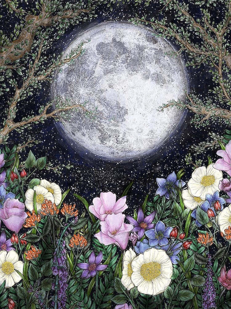 Midnight in the Garden II