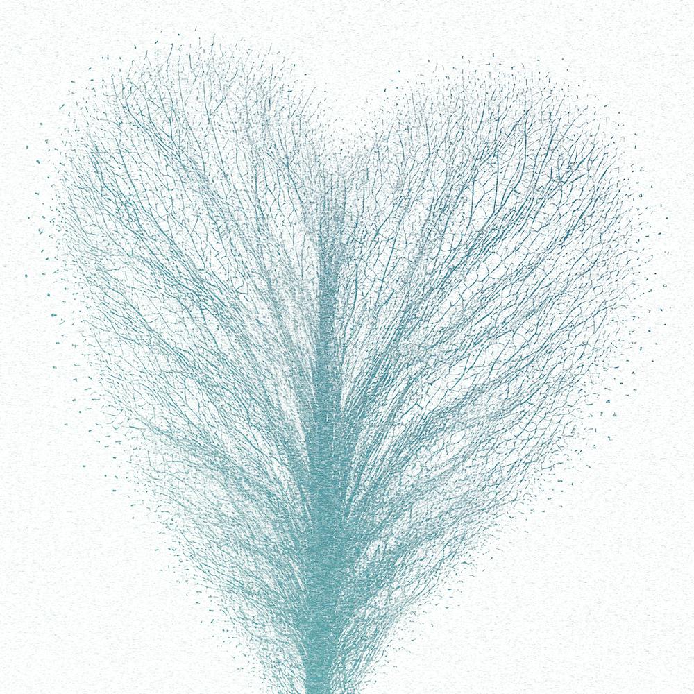 Heart Leaf