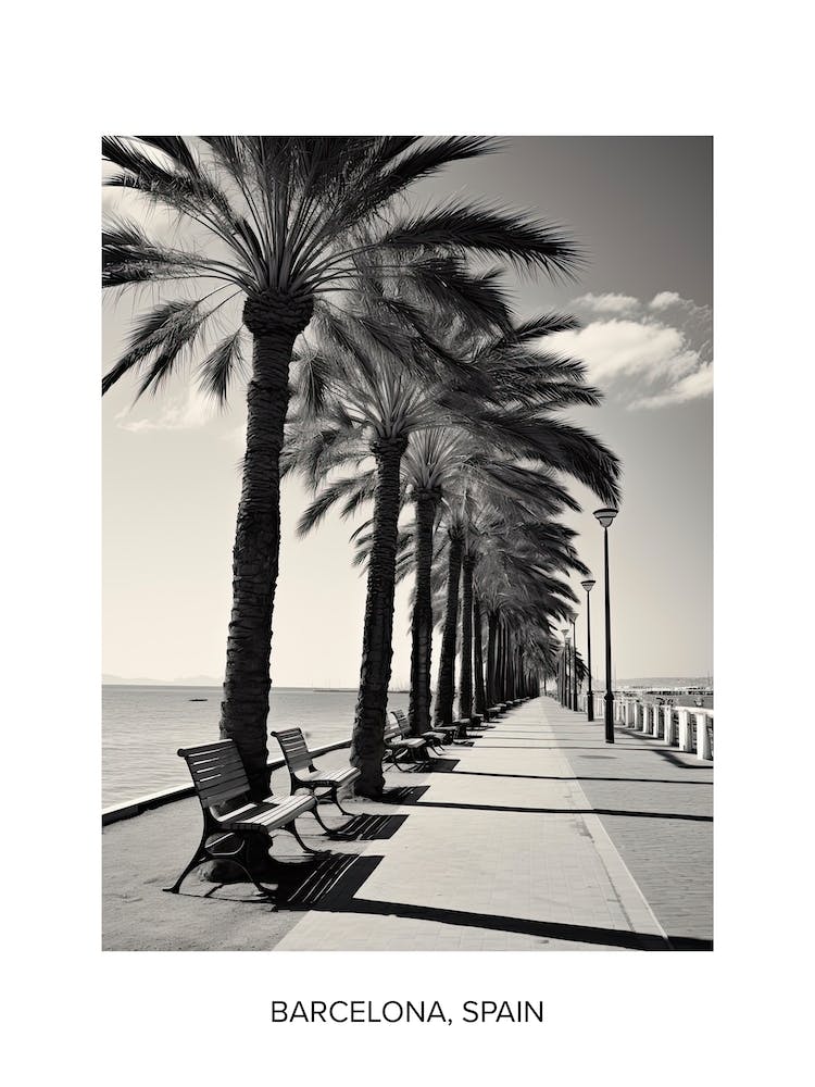 Poster Of Cannes, France, Photography In Black And White 1