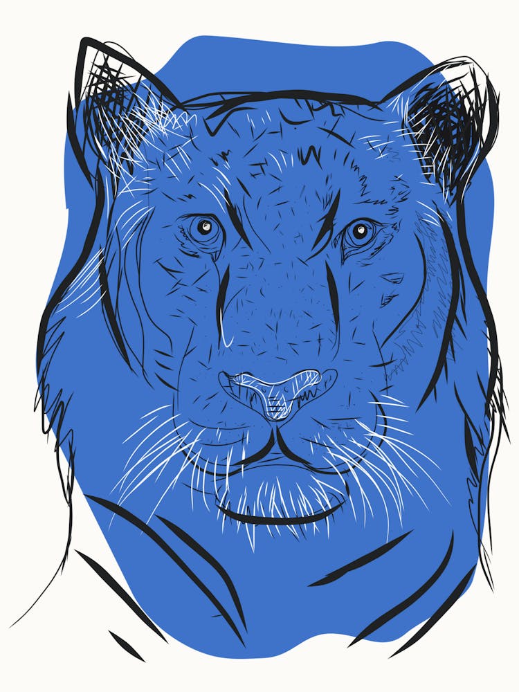 Tiger 5