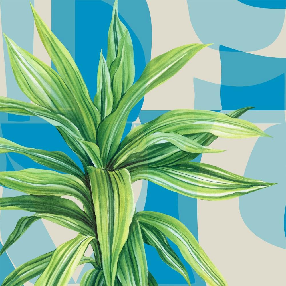 Tropical Geometry 81