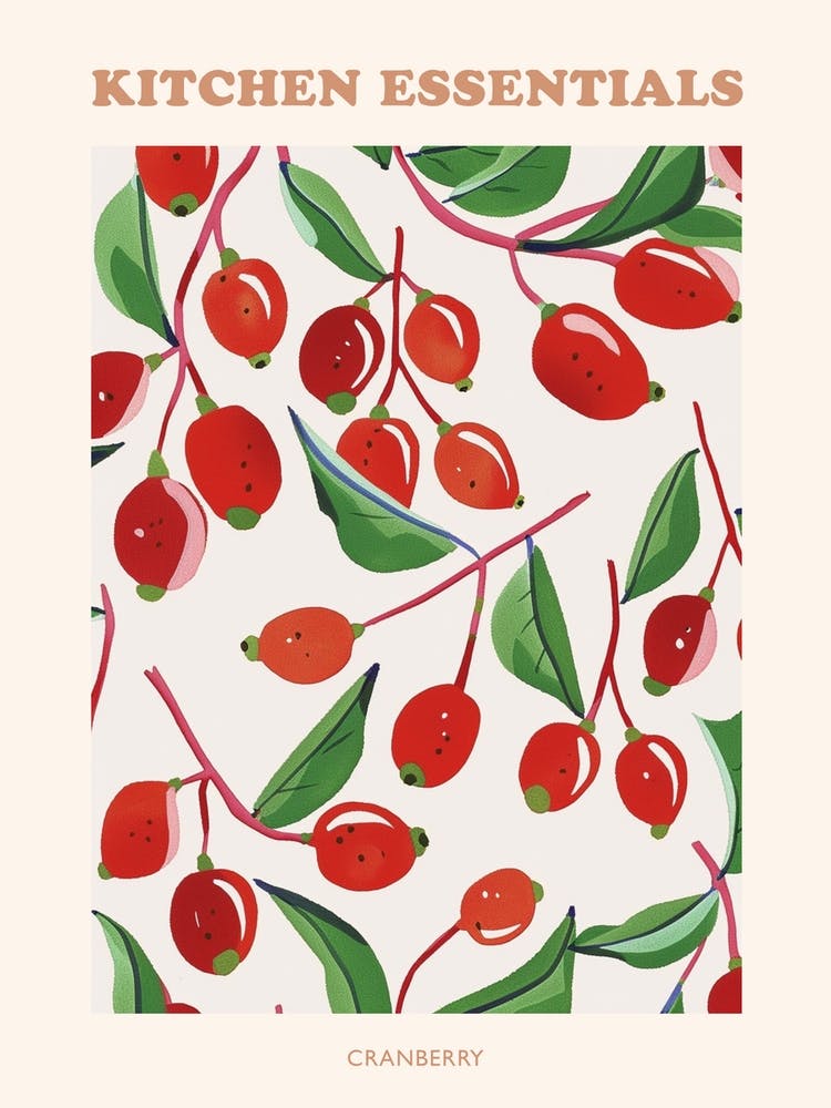 Cranberry Pattern Illustration Poster 1