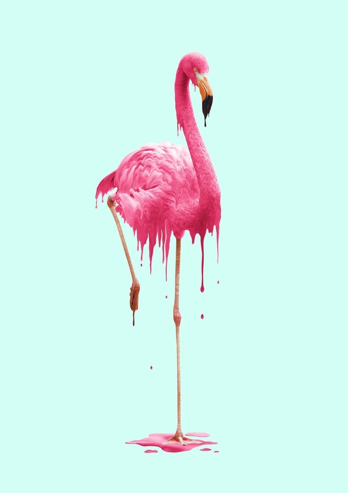 Melting Flamingo