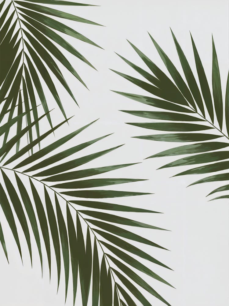 Tropical Canvas Art: Lush green palm leaves overlapping , showcasing vibrant natural tones. Perfect for modern minimalist and tropical decor lovers.