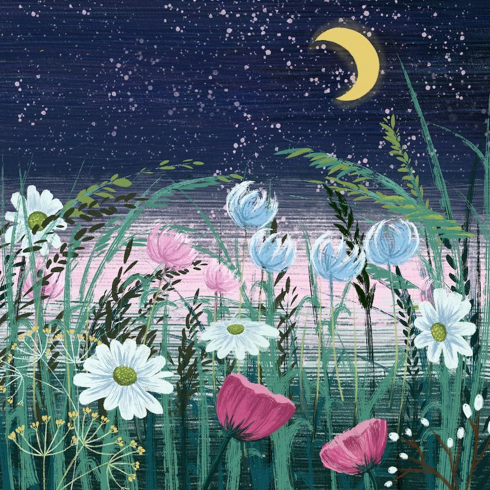 Wild Flowers In The Evening Square