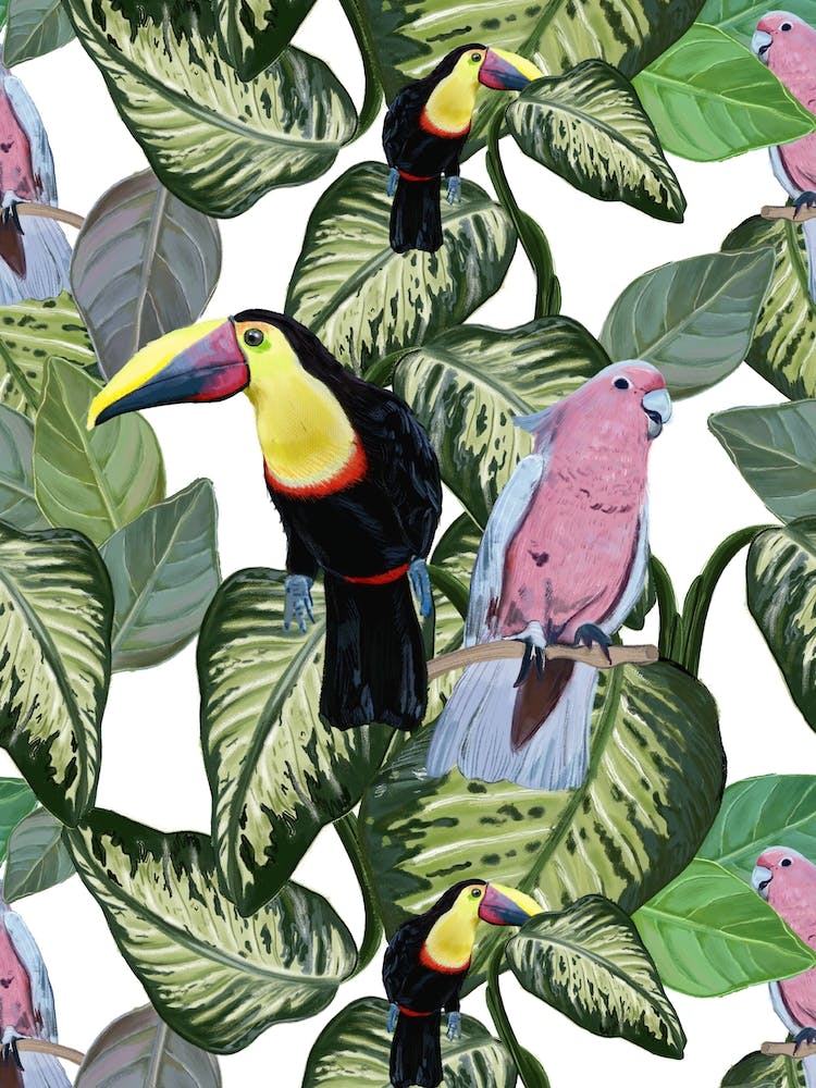 Birds Leaves