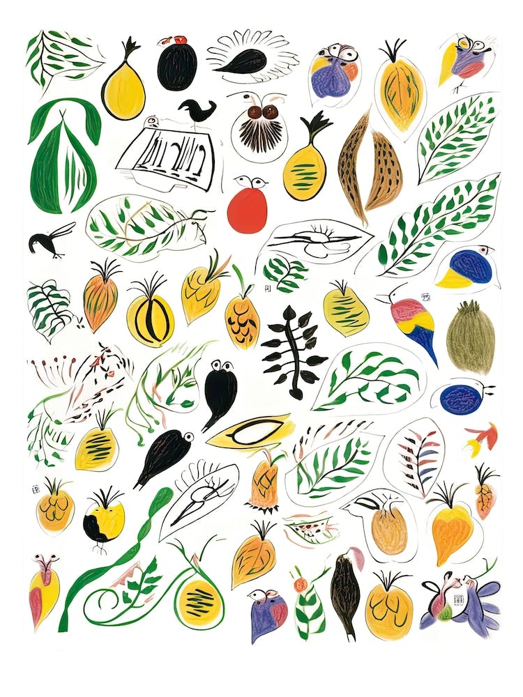 Kiwi Fruit Drawing 5