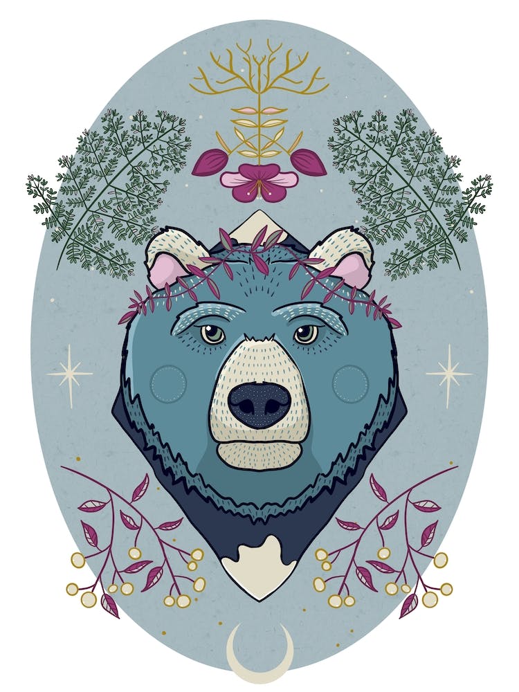 Ursa The Mother Bear