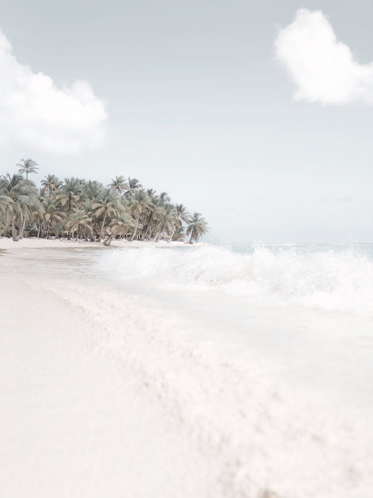 Island Beach Scenery