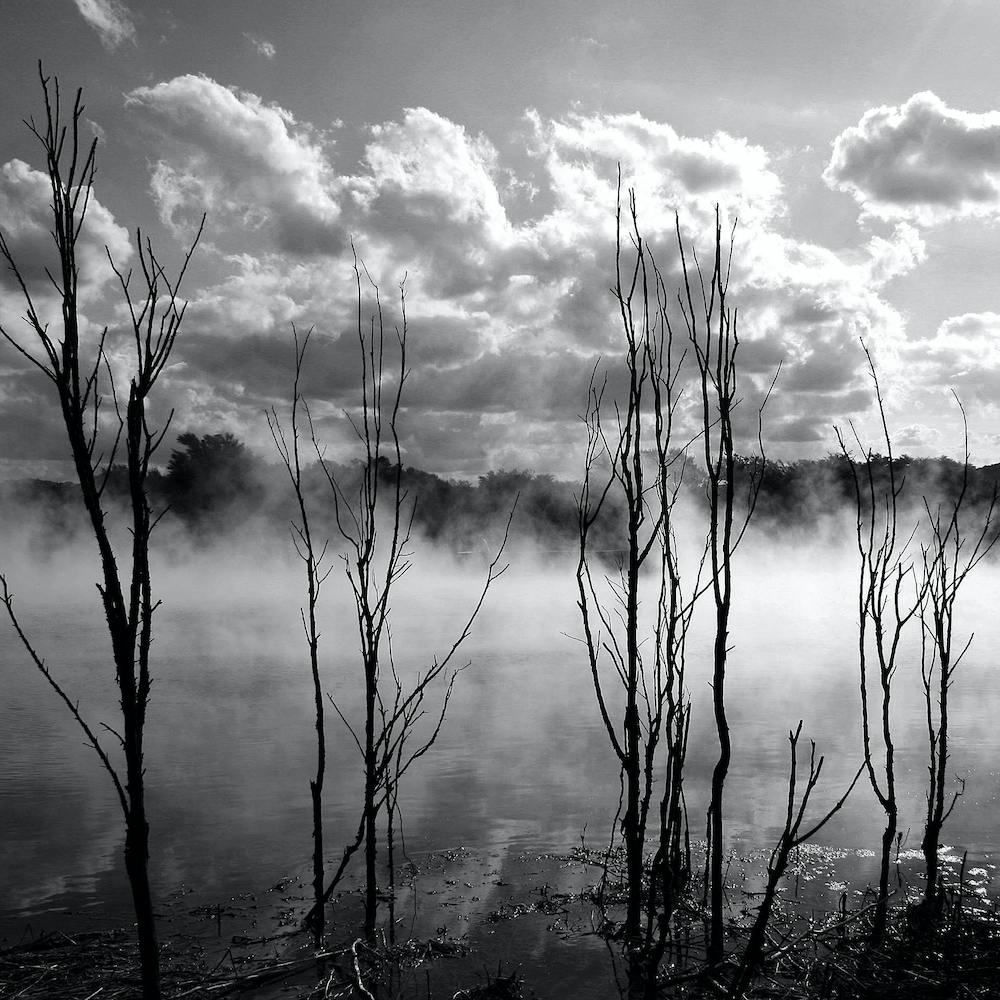 Misty Lake - Rotorua New Zealand